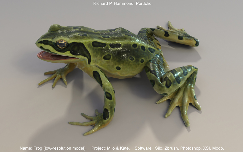 A render of the frog game asset.