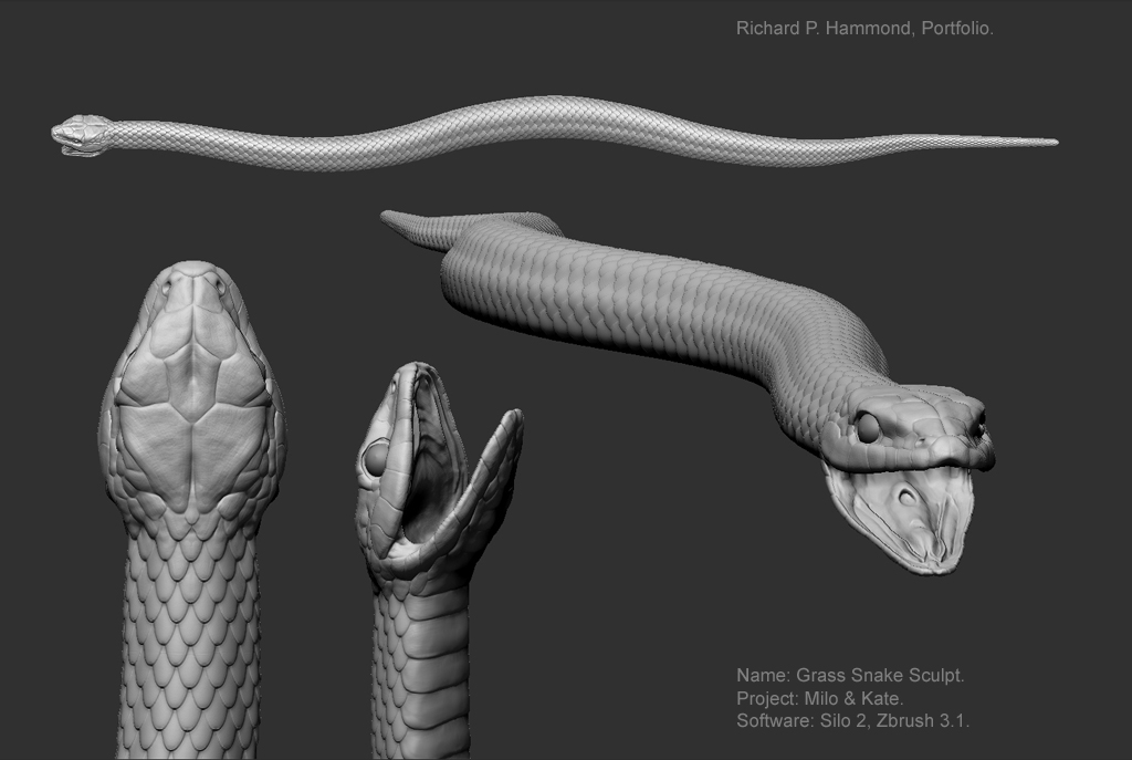 Zbrush model of a grass snake.