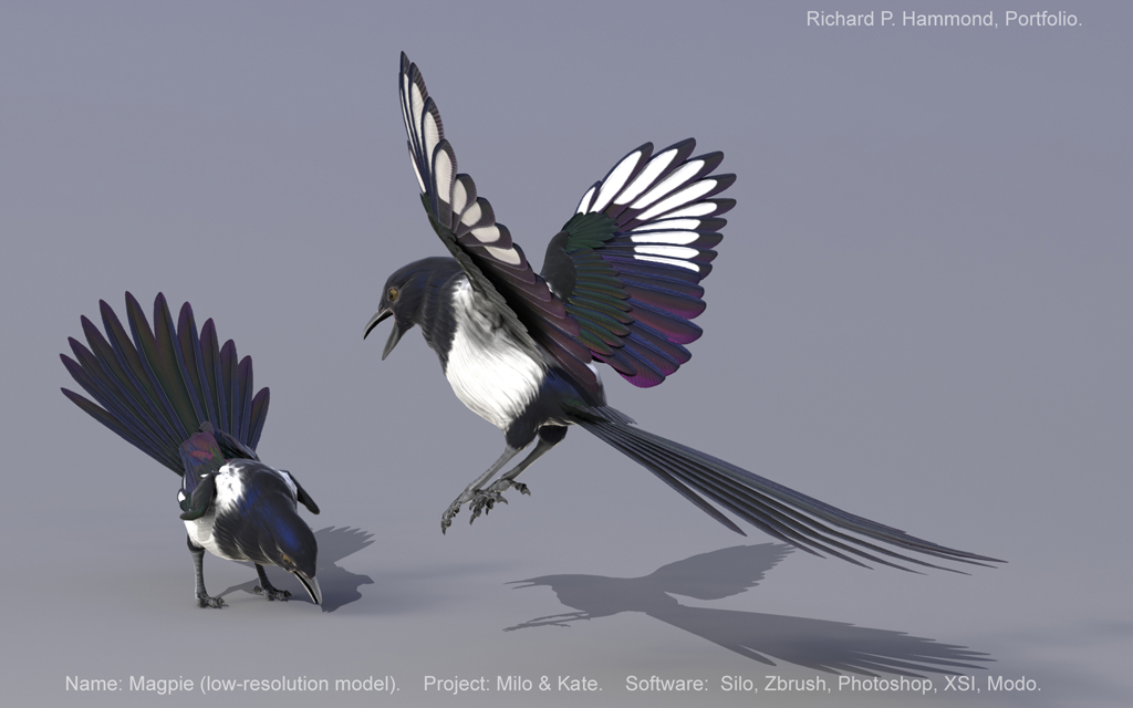 The magpie game model.